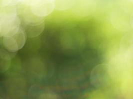 Natural outdoors bokeh background in green and yellow tones, Blurred green tree leaf background with bokeh photo
