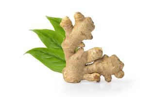 Fresh ginger rhizome with sliced and green leaves isolated on white background with Clipping Path. photo