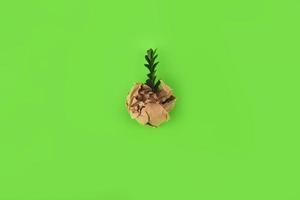 crumpled paper of brown paper and a green twig on a green background. zero waste concept, new creative idea, flat lay photo