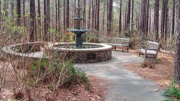 The Circle of the Water Fountain photo