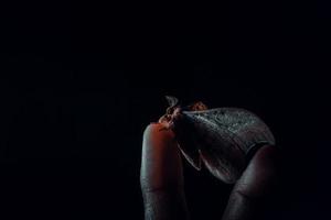 Photo of a moth resting on a man's finger, with the concept of a low key photo so that it produces a strong and dramatic impression. Black and dark background.