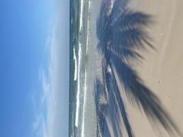 Palm tree shadow on beach summer background photo