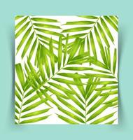 tropical leaf background photo