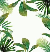 Tropical leaf pattern poster photo