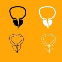 The prostate gland and bladder set icon. vector