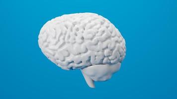 White brain 3D render isolated on background photo