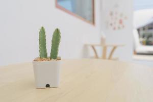Cactus in small white pots, placed on a wooden table for decoration in a minimalist coffee shop. Copy space. photo