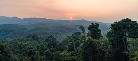 landscape, summer scenery on the mountain in the evening photo