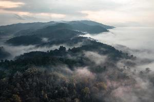 landscape, summer scenery on the mountain in the evening photo