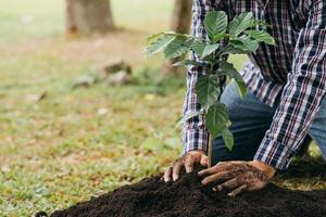 Planting a tree. Close up on young man planting the tree while working in the garden. photo