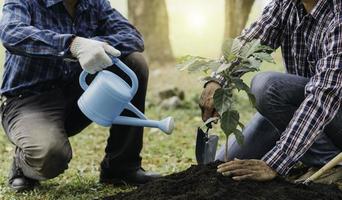 plantando un árbol. cierre al joven plantando el árbol mientras trabaja en el jardín. foto