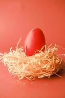 easter concept with red color egg on color background photo