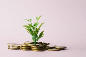 Close up of young plan growing through coins. photo