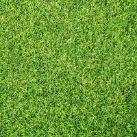 Green grass texture for background. Green lawn pattern and texture background. photo