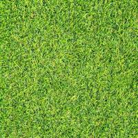textura de hierba verde para el fondo. patrón de césped verde y textura de fondo. foto
