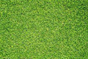 Green grass texture for background. Green lawn pattern and texture background. photo