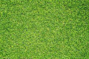 Green grass texture for background. Green lawn pattern and texture background. photo