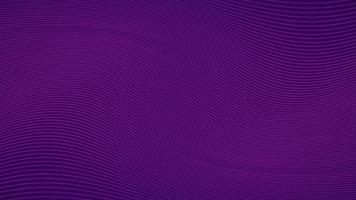 Purple background with line curve design. Vector illustration. Eps10