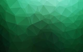 Dark Green vector polygon abstract layout.