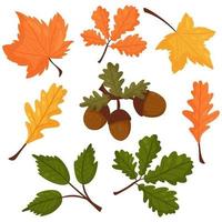 Set of vector elements in the autumn style. Leaves, acorns. For the design of greeting cards. Vector cartoon style