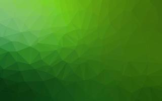 Light Green vector polygon abstract backdrop.