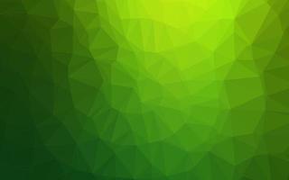 Light Green vector polygonal pattern.