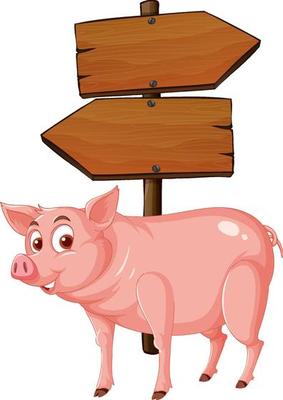 Isolated wooden signpost banner with pig