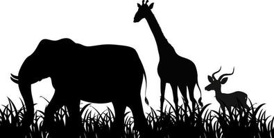 Silhouette animal in nature white background vector
