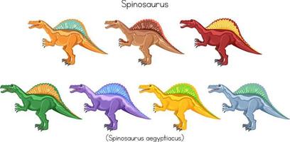 Spinosaurus in different colors vector