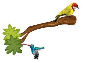 A bird standing on branch in cartoon style vector