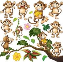Cute monkey in different actions vector