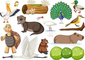 Different kinds of wild animals collection