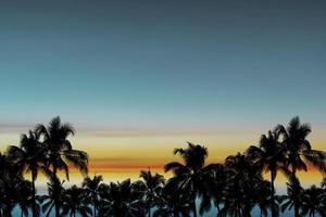 siluetee las palmeras de coco con el cielo azul después de la puesta del sol en el fondo del mar. foto