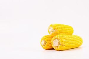 Stack of sweet corn isolated on white background. photo