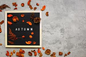 concepto flatlay de temporada de otoño con composición de hojas secas y espacio de copia foto