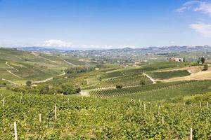 paisaje panorámico en la región de piamonte, italia. pintoresca colina de viñedos cerca de la ciudad de Barolo. foto