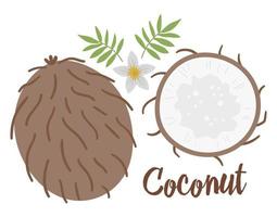 imagen prediseñada de coco vectorial. ilustración de frutas de la selva. plantas exóticas planas dibujadas a mano aisladas sobre fondo blanco. ilustración de comida de verano tropical saludable infantil brillante. vector