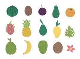 imágenes prediseñadas vectoriales de frutas tropicales y bayas. ilustración de follaje de la selva. plantas exóticas planas dibujadas a mano aisladas sobre fondo blanco. ilustración de comida de verano saludable infantil brillante. vector