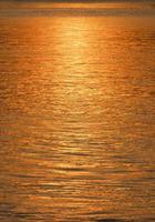 Slight blur motion of colorful golden sunlight reflection on river surface at sunset time in vertical frame photo