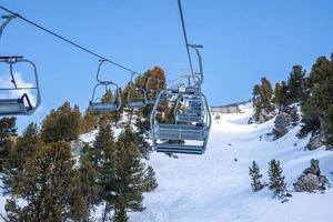 Empty ski lifts amidst snow covered pine trees on mountain photo