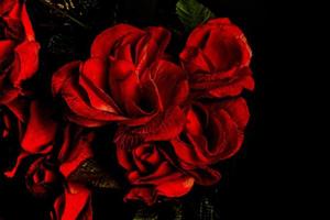 fake red rose photo