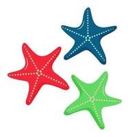 Starfishes with Different Colors. vector