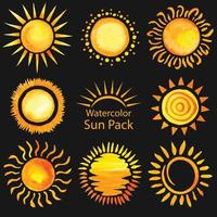 conjunto de colección de diferentes tipos de sunburst