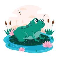 cartoon adorable cute frog illustration