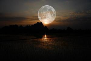 The full moon through the rice field. The full moon is the lunar phase when the Moon appears fully illuminated from Earth's perspective. This occurs when Earth is located between the Sun and the Moon. photo