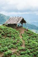 la cabaña local en el campo de tailandia. foto