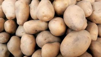 Fresh organic young potatoes sold on market. potatoes raw vegetables food pattern in market. photo