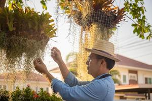 retrato de hombre cultivando un huerto en su jardín, hombre cuidando sus plantas en casa foto
