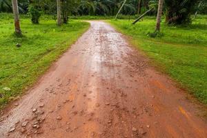 Mud Road after rain in Thailand photo