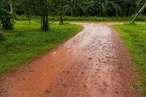 Mud Road after rain in Thailand photo